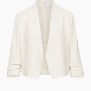 Babaton power waist blazer